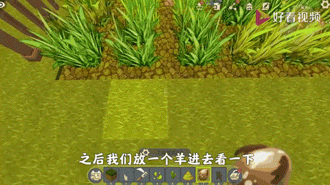 迷你世界空血花怎么种[图1]