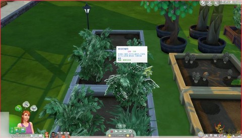 模拟人生4怎么接枝[图1]