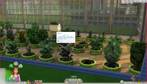 模拟人生4怎么接枝[图2]