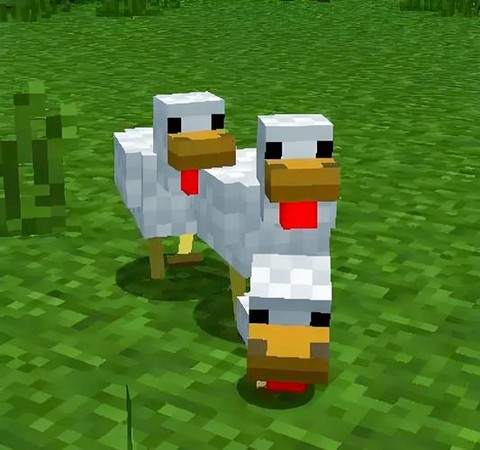 我的世界鸡怎么驯服[图1]