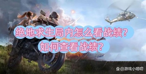 绝地求生如何查战绩[图1]