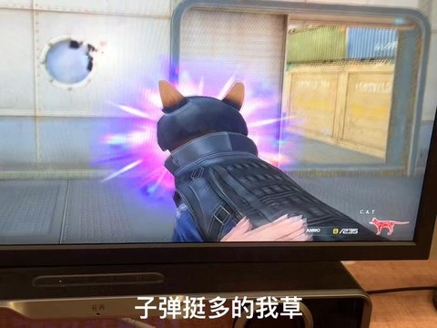 穿越火线猫枪怎么弄[图1]