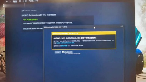 绝地求生为什么卡退[图2]