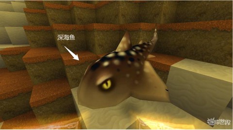 迷你世界里的鱼怎么养[图2]