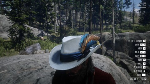 荒野大镖客猛禽是什么[图1]