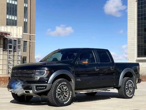 荒野大镖客猛禽是什么[图2]