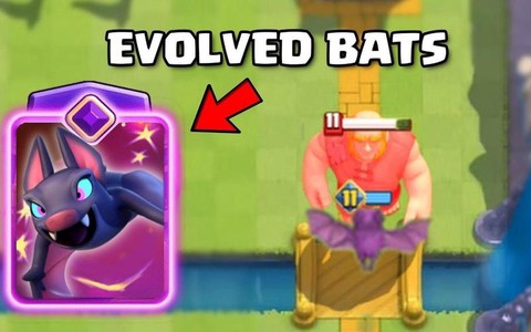 皇室战争蝙蝠怎么用[图1]