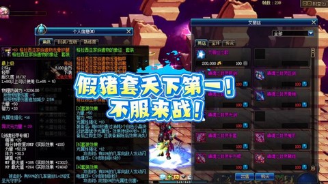 dnf什么是假猪套[图2]