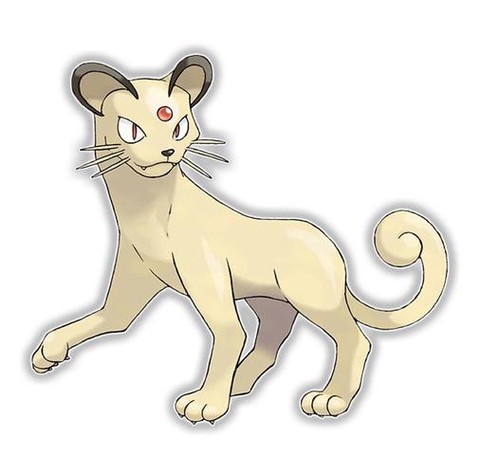 口袋妖怪土猫是什么[图2]