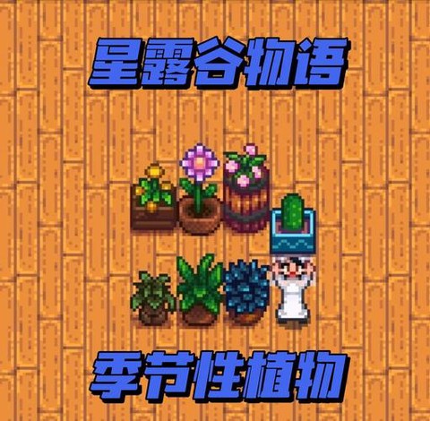星露谷物语什么季节[图1]